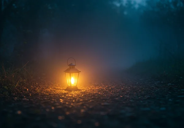 A warm lantern illuminating a gentle path, representing guidance and safety.